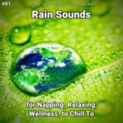 #01 Rain Sounds for Napping, Relaxing, Wellness, to Chill To