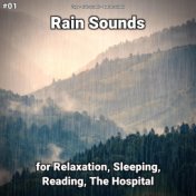 #01 Rain Sounds for Relaxation, Sleeping, Reading, The Hospital