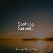 Soothing Serenity