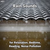 #01 Rain Sounds for Relaxation, Bedtime, Reading, Noise Pollution