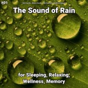 #01 The Sound of Rain for Sleeping, Relaxing, Wellness, Memory