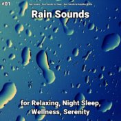 #01 Rain Sounds for Relaxing, Night Sleep, Wellness, Serenity