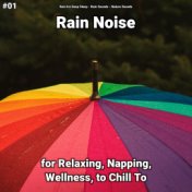 #01 Rain Noise for Relaxing, Napping, Wellness, to Chill To