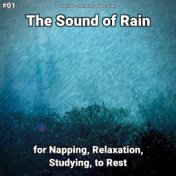 #01 The Sound of Rain for Napping, Relaxation, Studying, to Rest