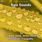 #01 Rain Sounds for Night Sleep, Stress Relief, Relaxation, Tranquility