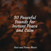30 Peaceful Sounds for Instant Peace and Calm