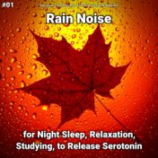#01 Rain Noise for Night Sleep, Relaxation, Studying, to Release Serotonin