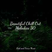 Beautiful Chill Out Melodies 30
