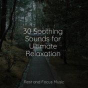 30 Soothing Sounds for Ultimate Relaxation