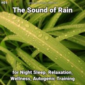 #01 The Sound of Rain for Night Sleep, Relaxation, Wellness, Autogenic Training