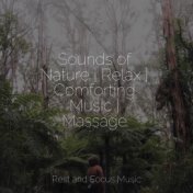 Sounds of Nature | Relax | Comforting Music | Massage