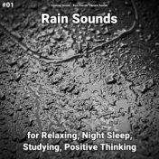 #01 Rain Sounds for Relaxing, Night Sleep, Studying, Positive Thinking