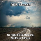 #01 Rain Sounds for Night Sleep, Relaxing, Wellness, Fitness