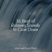 Zen Relaxation Sounds