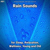 #01 Rain Sounds for Sleep, Relaxation, Wellness, Young and Old