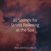 30 Sounds for Stress Relieving at the Spa