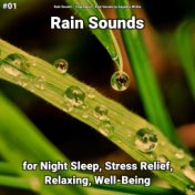 #01 Rain Sounds for Night Sleep, Stress Relief, Relaxing, Well-Being