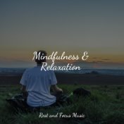 Mindfulness & Relaxation