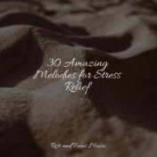 30 Amazing Melodies for Stress Relief