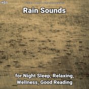 #01 Rain Sounds for Night Sleep, Relaxing, Wellness, Good Reading