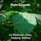 #01 Rain Sounds for Relaxation, Sleep, Studying, Walking