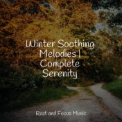 Winter Soothing Melodies | Complete Serenity