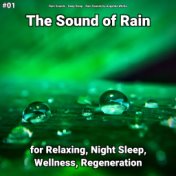 #01 The Sound of Rain for Relaxing, Night Sleep, Wellness, Regeneration