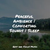Peaceful Ambience | Comforting Sounds | Sleep