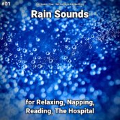 #01 Rain Sounds for Relaxing, Napping, Reading, The Hospital