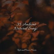 35 Ambient Natural Songs