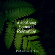 #Soothing Sounds | Relaxation