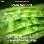 #01 Rain Sounds for Sleeping, Relaxation, Meditation, Mental Peace