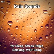 #01 Rain Sounds for Sleep, Stress Relief, Relaxing, Well-Being