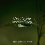 Deep Sleep Instant Deep Sleep