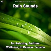 #01 Rain Sounds for Relaxing, Bedtime, Wellness, to Release Tension