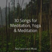 30 Songs for Meditation, Yoga & Meditation