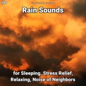 #01 Rain Sounds for Sleeping, Stress Relief, Relaxing, Noise of Neighbors