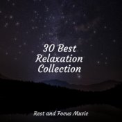 30 Best Relaxation Collection