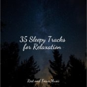 35 Sleepy Tracks for Relaxation