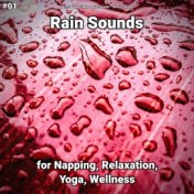 #01 Rain Sounds for Napping, Relaxation, Yoga, Wellness