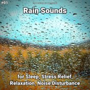 #01 Rain Sounds for Sleep, Stress Relief, Relaxation, Noise Disturbance