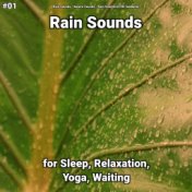 #01 Rain Sounds for Sleep, Relaxation, Yoga, Waiting
