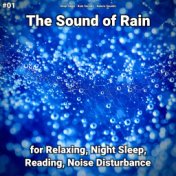 #01 The Sound of Rain for Relaxing, Night Sleep, Reading, Noise Disturbance