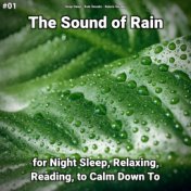 #01 The Sound of Rain for Night Sleep, Relaxing, Reading, to Calm Down To