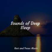 Sounds of Deep Sleep