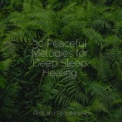 30 Peaceful Melodies for Deep Sleep Healing