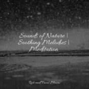 Sounds of Nature | Soothing Melodies | Meditation