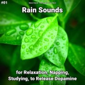 #01 Rain Sounds for Relaxation, Napping, Studying, to Release Dopamine