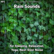 #01 Rain Sounds for Sleeping, Relaxation, Yoga, Next-Door Noise