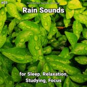 #01 Rain Sounds for Sleep, Relaxation, Studying, Focus